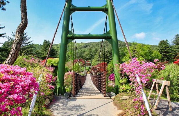 Day Trip to Nami Island with The Garden of Morning Calm