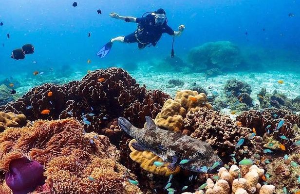 Explore Scuba Diving at Racha Yai Island from Phuket