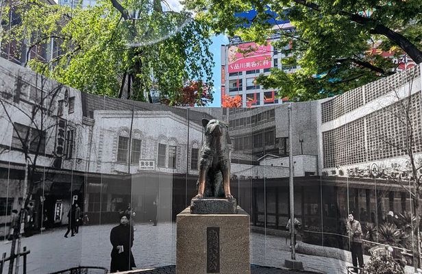 Shibuya Highlights Hachiko Scramble Meiji Jingu and Sky