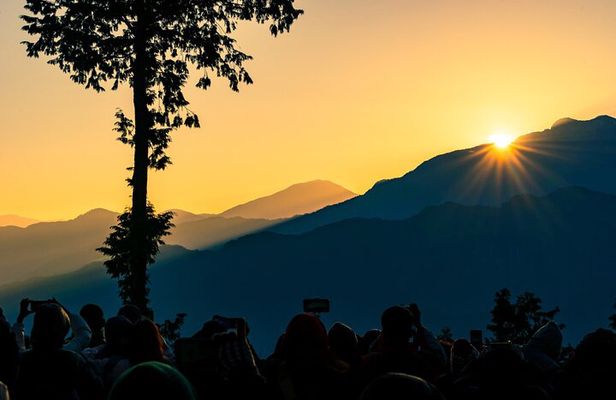 Alishan 2Day Shared Tour from Taipei 