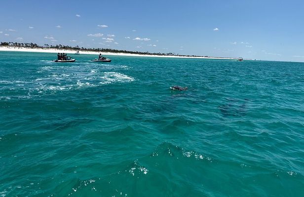 2 Hours Shell Island Jet Ski Tour