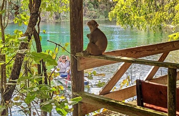 Silver Springs Jungle Kayaking and Paddleboarding