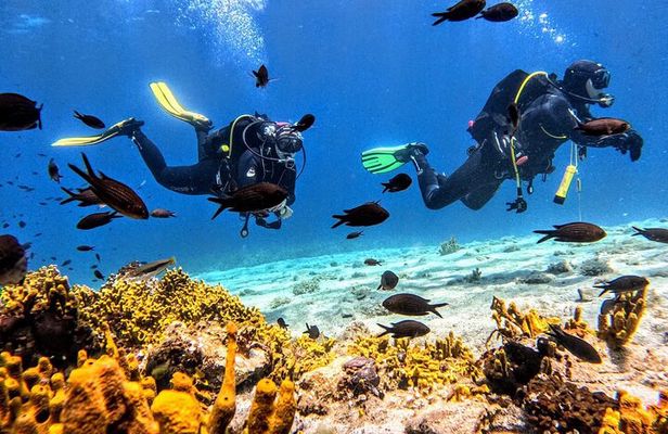 PADI Discover Scuba Diving for Beginners at Ouranoupoli|Chalkidiki|Greece