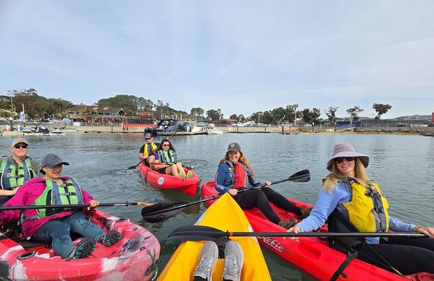 Half Day Dana Point Kayak and Hike