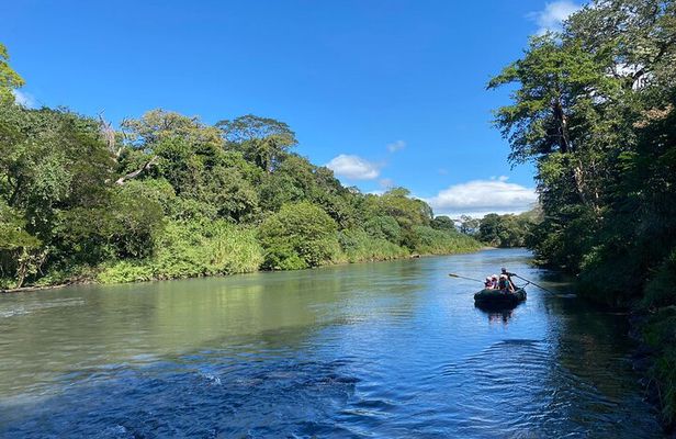 Tropical Wonders Sloths and River Serenity