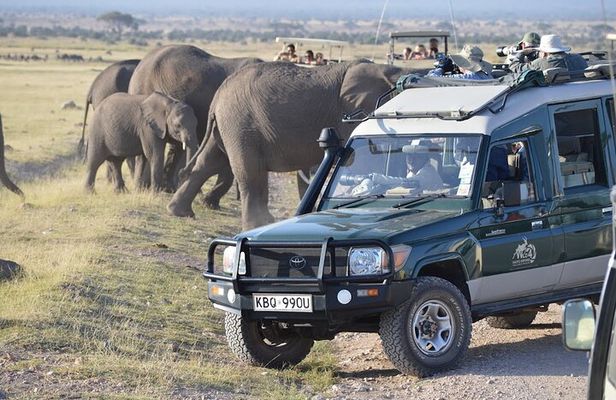 3- Day Exploring Giants and Golden Sunsets in Amboseli