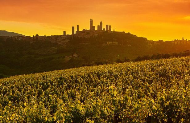 From Livorno San Gimignano Volterra and Wine Tasting