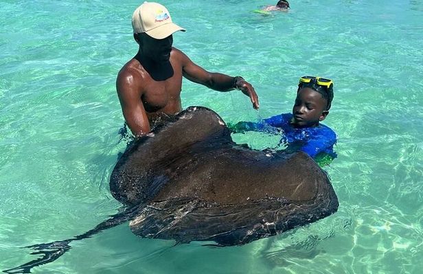 ANTIGUA FROM TOP TO BOTTOM: Stingray City, Beach, lunch & more...