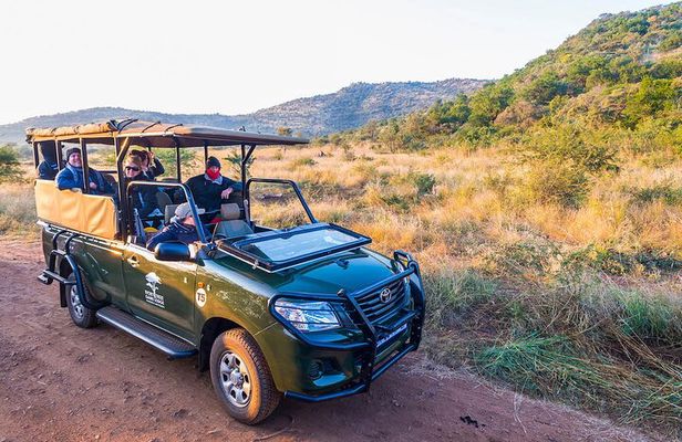 4 Day Pilanesberg Safari at Ivory Tree Game Lodge