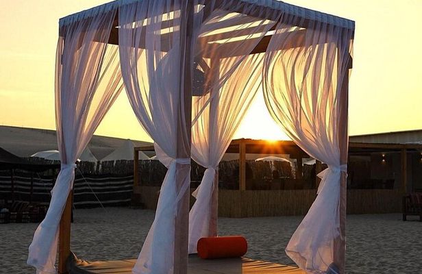 Doha: Full-Day Desert Safari With Lunch or BBQ Dinner at Camp