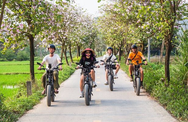 Ninh Binh E-Bike Tour - Ninh Binh's Highlights