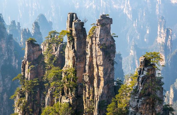 Private 1 Day Tour Zhangjiajie National Forest Park