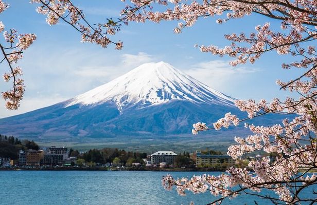 Day Trip To Mount Fuji and Hakone from Tokyo with English Guide