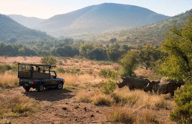2 Days Pilanesberg Safari at Bakubung Lodge