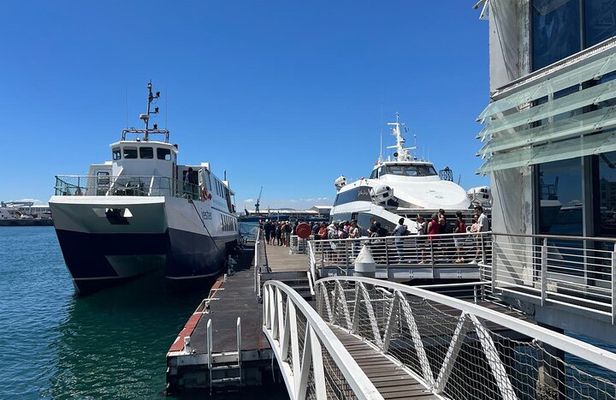Pre-Booked Tickets for Cape Town Robben Island Tour