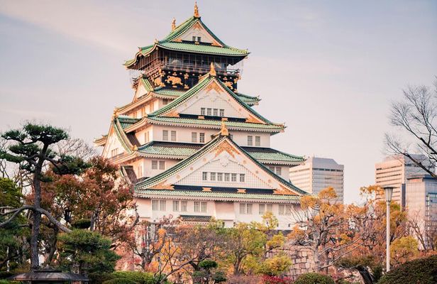 Osaka private car day trip with hotel pick up 