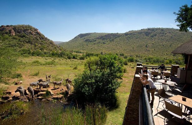 4 Day Pilanesberg Safari at Kwa Maritane Lodge