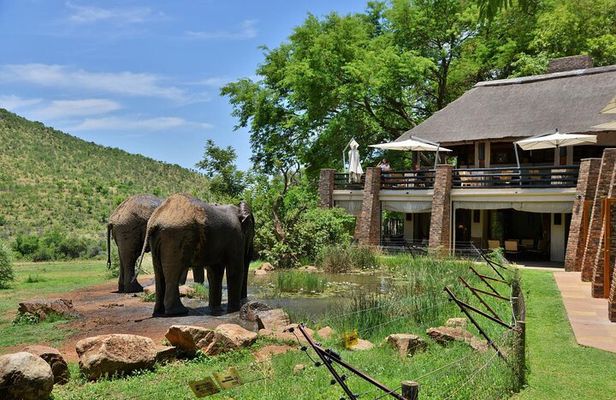 2 Day Pilanesberg Safari at Kwa Maritane Lodge