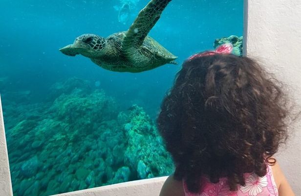Paphos Yellow Submarine Cruise with Swimming and Drinks