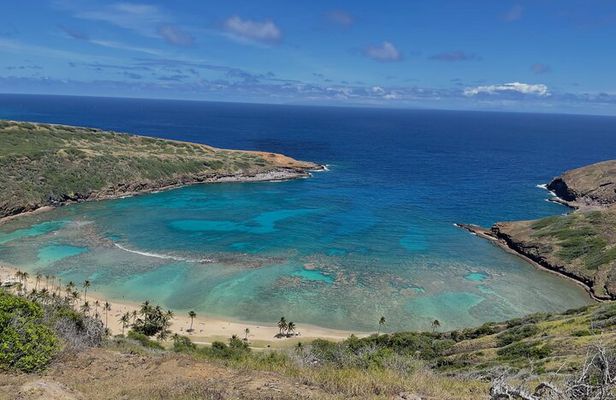 Private Pearl Harbor and Scenic Oahu Tour