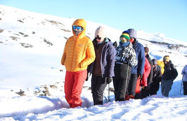 6 Days Machame Route Kilimanjaro Group Hiking and Climbing Tour