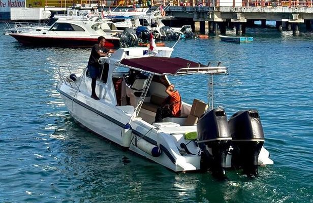 Snorkeling Adventure by Private Speedboat