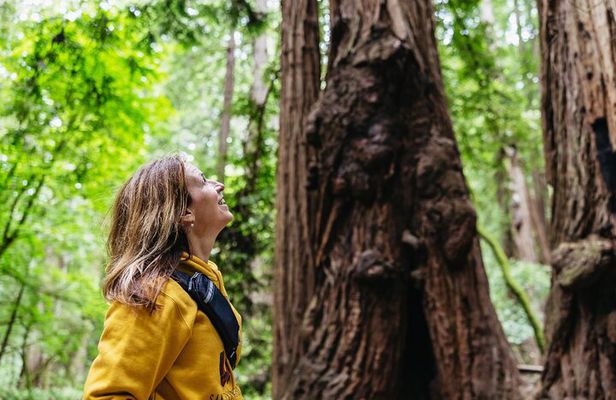 Muir Woods & Sausalito (Return by Bus or Ferry)