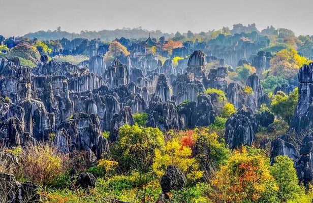 All Inclusive Kunming Tour to Stone Forest,Flower and Bird Market