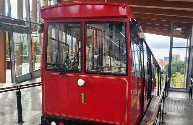 Wellington’s Historical Walking Odyssey