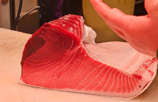 Behind the Scenes Toyosu Fish Market Tour & Luxury Sushi Lunch