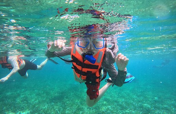 Snorkel at the Reef 2 HOURS Puerto Morelos National park
