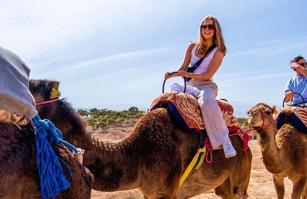 Marrakech: Agafay Desert - Camel Ride and Dinner Show