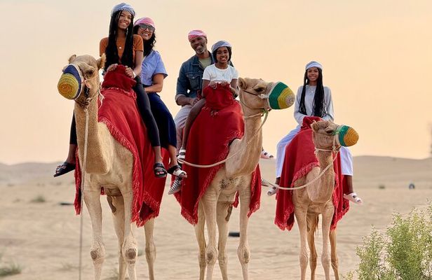 Private Desert Safari Abu Dhabi With Camel Ride BBQ Dinner Shows