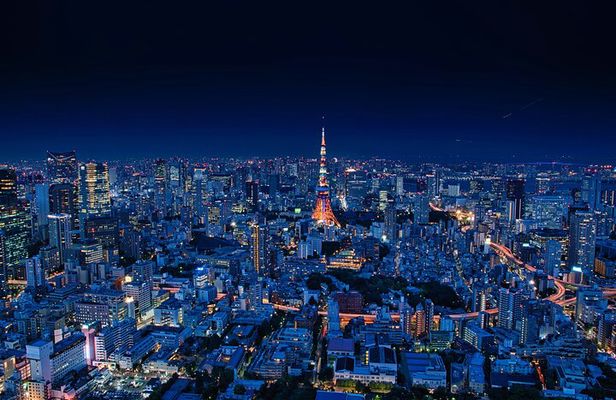 Tokyo Night Adventure with Skyline Views