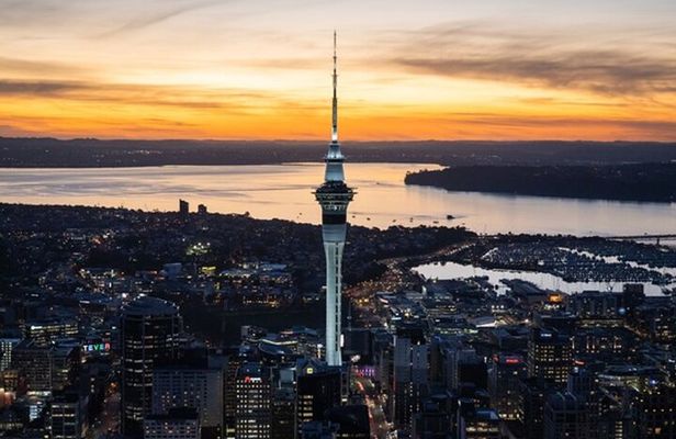 Auckland Sightseeing Tour—Private Full Day/Half Day Driver+Tesla