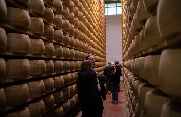 Bologna Full Day Food Factory Tour and Wine Tasting