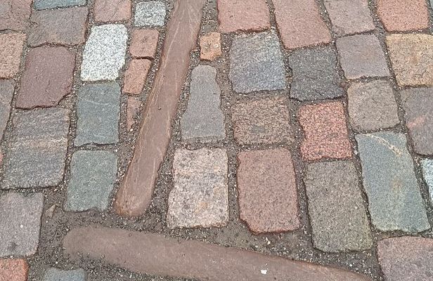 From Carnivals to Epidemics - daily life in Medieval Tallinn 