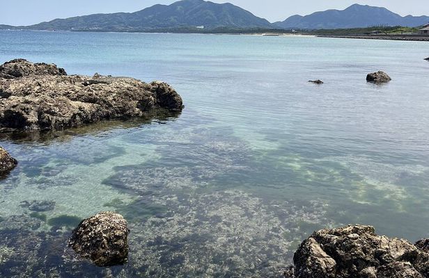 Private Coastline Ebike Tour in Fukuoka