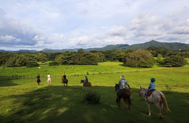 Half Day Private Guanacaste Horseback and Farm Tour