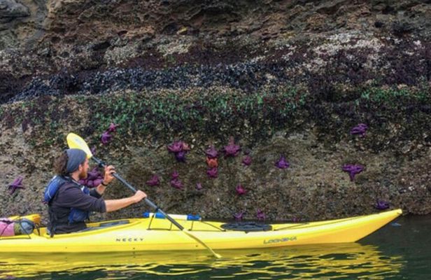 Rosario Coastal Kayak Tour on Orcas Island