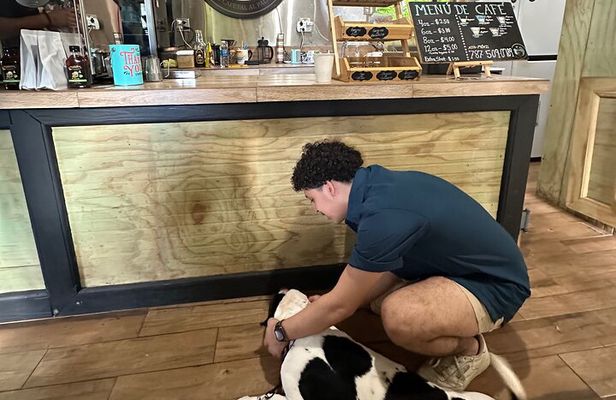 Coffee & Waterfalls Tour: from the mountains to the cup 