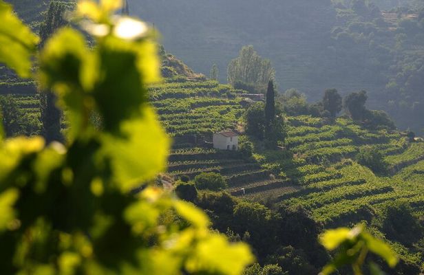 Manolates Hiking with Bus Transfer included
