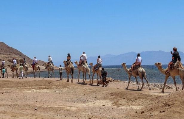 Blue Hole in Dahab By Bus with Lunch and Camel Ride - Sharm El-Sheikh