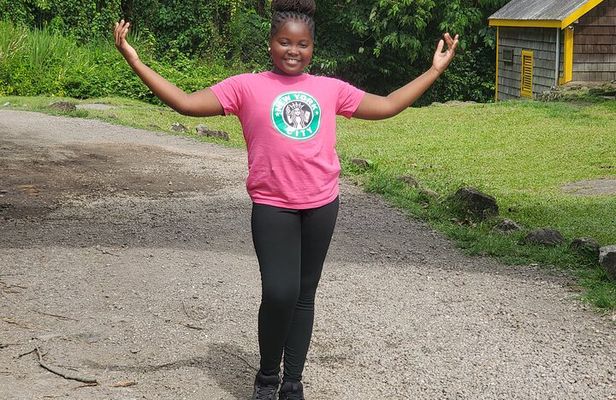 Ken's Panoramic Rainforest Tour