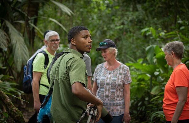 Tour Full 1-Day Experience in Tortuguero