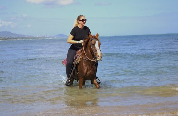 Beach Horseback Riding and Swim Horse in Puerto Plata