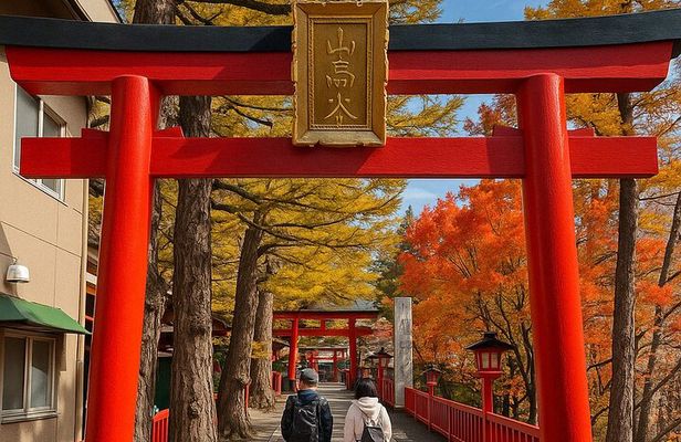 Osaka Private Food, Culture, and Heritage Tour