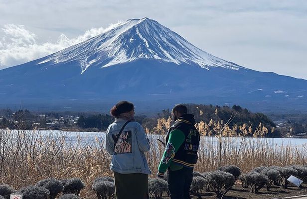 Tokyo Mount Fuji Day Private Customizable Tour With English Guide