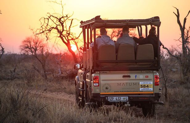 Kruger National Park Full Day Safari (Hoedspruit)