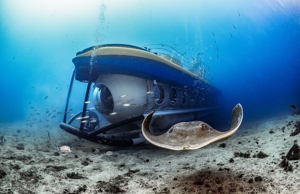 Submarine Tour with Hotel Pickup Tenerife South